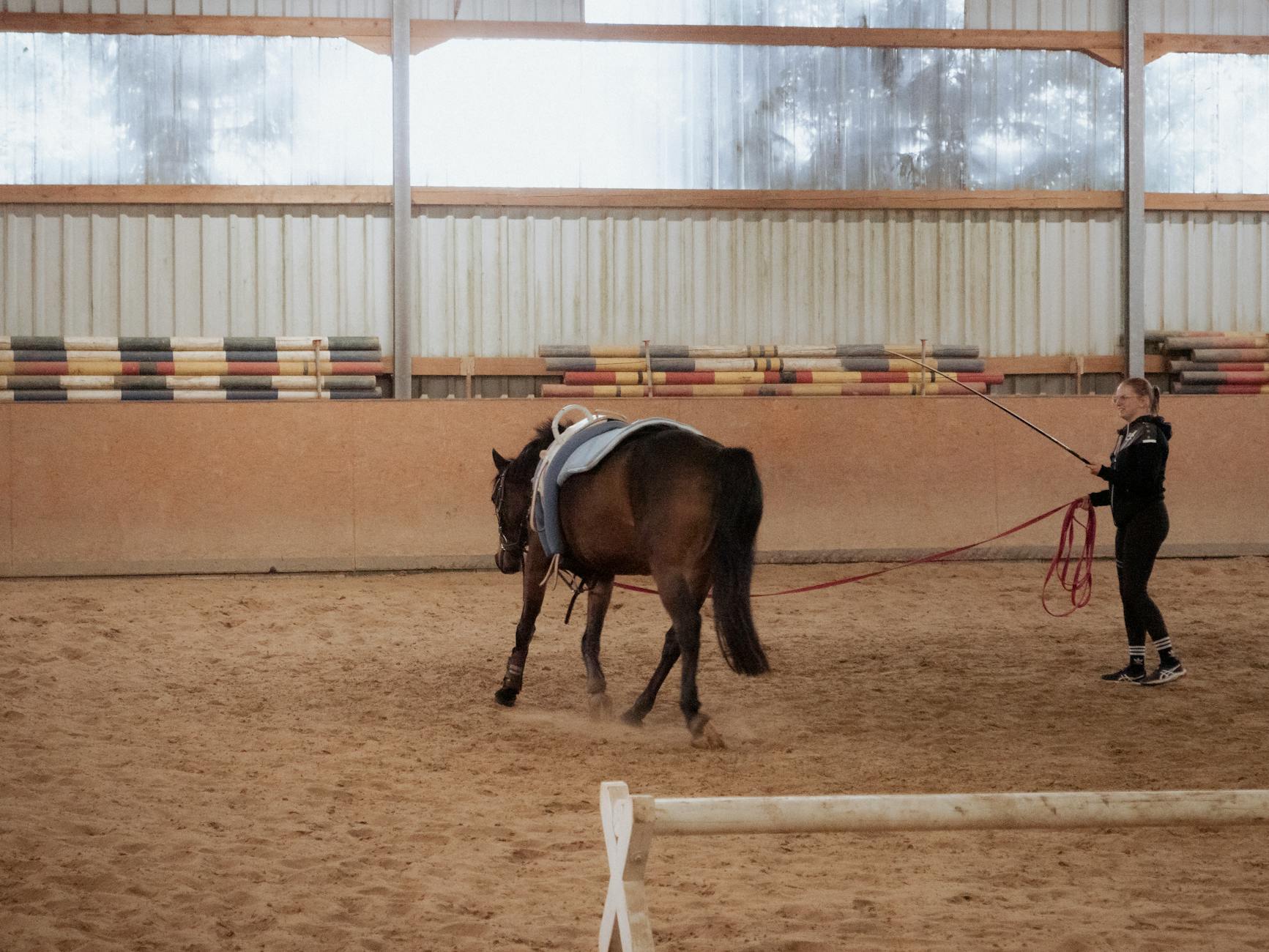 Helkroppsträning utan gym – 15 effektiva övningar med kroppsvikt — Träning