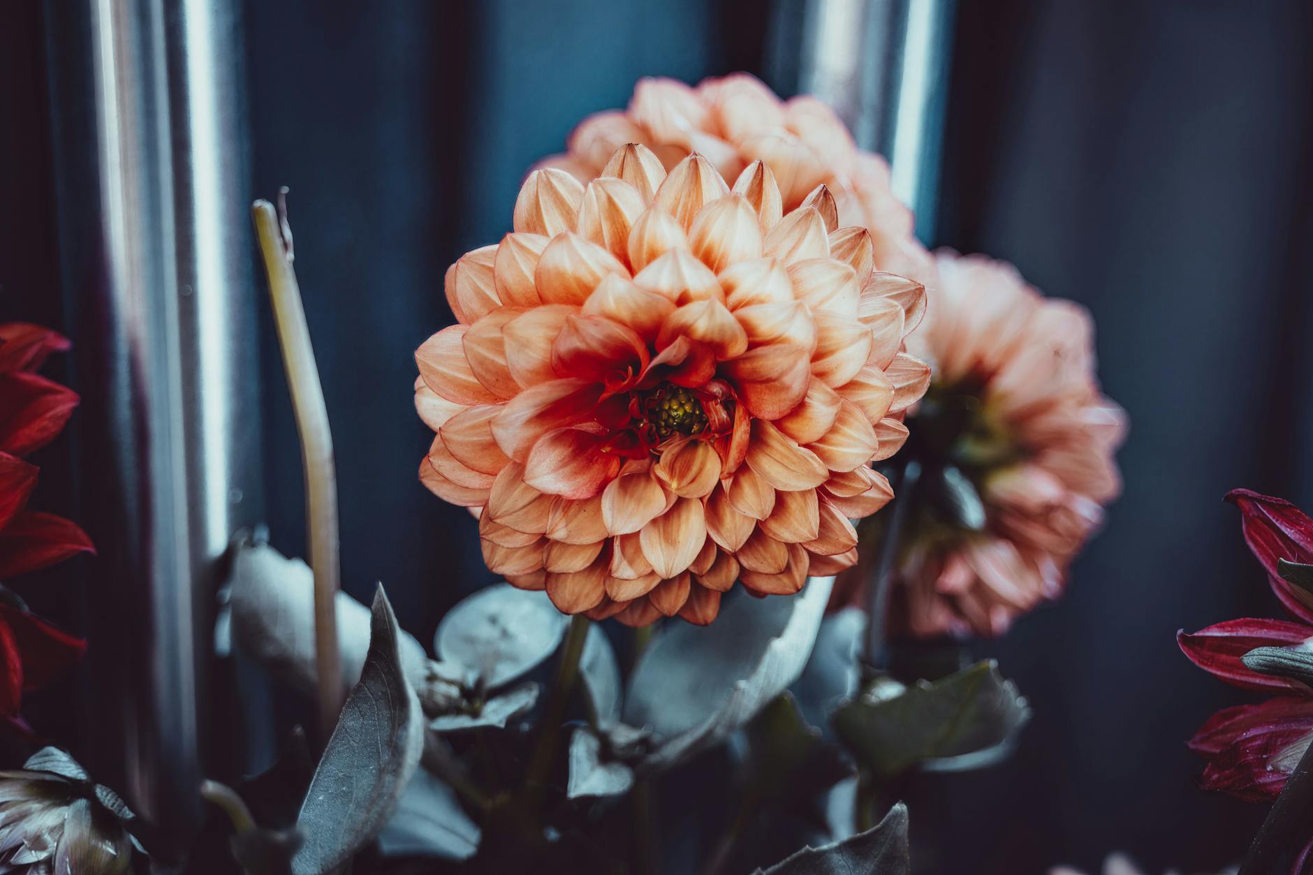 Idag gratulerar vi Ronald och Ronny — Blommor, firande, namnsdag, Sverige, Ronald och Ronny