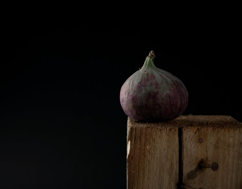 Moody close-up photograph of a single fig on a rustic wooden plank with a dark background, perfect for rustic themes.